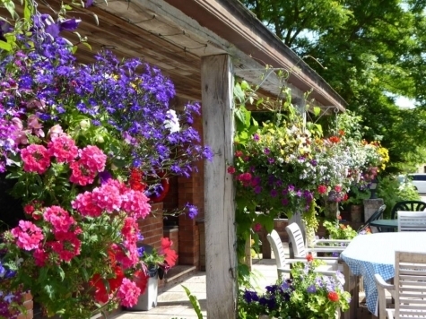 Luxury Self Catering at Malston Mill Cottages Luxury Self Catering at Malston Mill Cottages