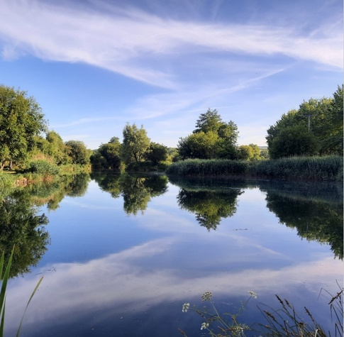 Milemead Fishery Tavistock - Devon