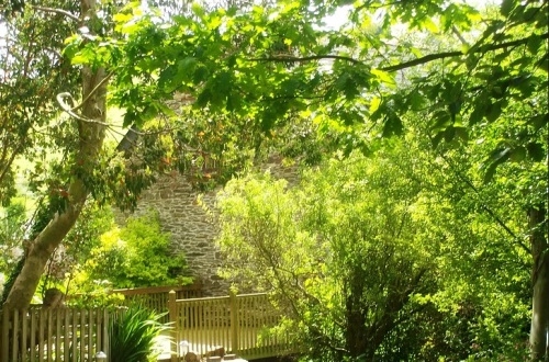 Millbrook Coarse Angling Holidays, Torpoint - Cornwall Millbrook Coarse Angling Holidays, Torpoint - Cornwall