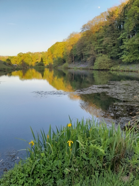 New House Fishery - Totnes Devon