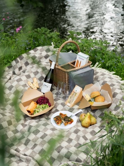 Picnics by the River The Arundell Lifton Devon