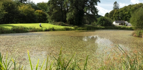 Wainsford Riverside Cottages, Liskeard - Cornwall Wainsford Riverside Cottages, Liskeard - Cornwall
