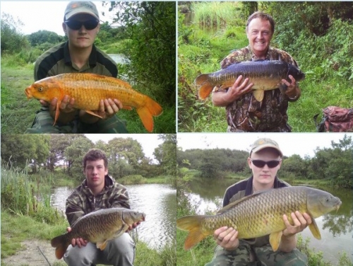 Coarse Fishing @ Penvose Farm, Newquay - Cornwall Coarse Fishing @ Penvose Farm, Newquay - Cornwall