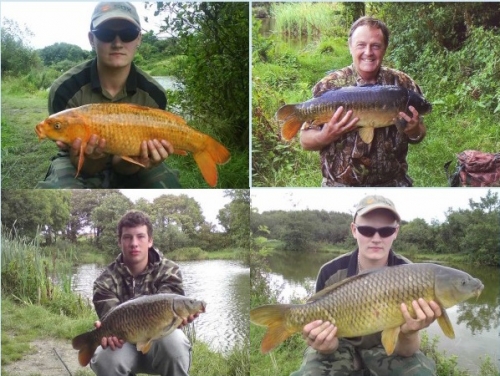 Coarse Fishing @ Penvose Farm, Newquay - Cornwall