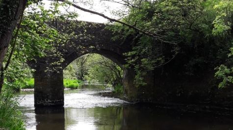 Fishing the River Torridge at Half Moon Inn Fishing the River Torridge at Half Moon Inn