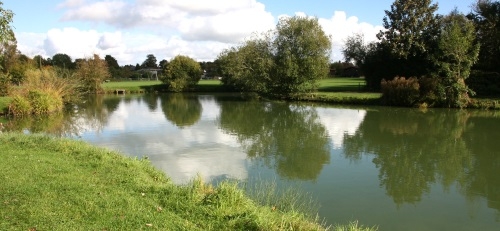 Coarse Fishing Lakes at Rendells Farm, Devizes Wiltshire