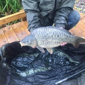 Restocking at Tockenham Lake - Amalgamated Fisheries