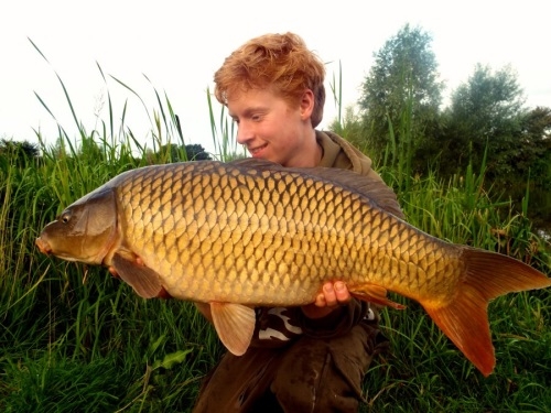 Carp Fishing - Ringwood & District Association Carp Fishing - Ringwood & District Association