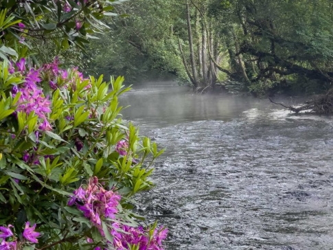 River Fowey - Rivermead Cottages, Liskeard - Cornwall