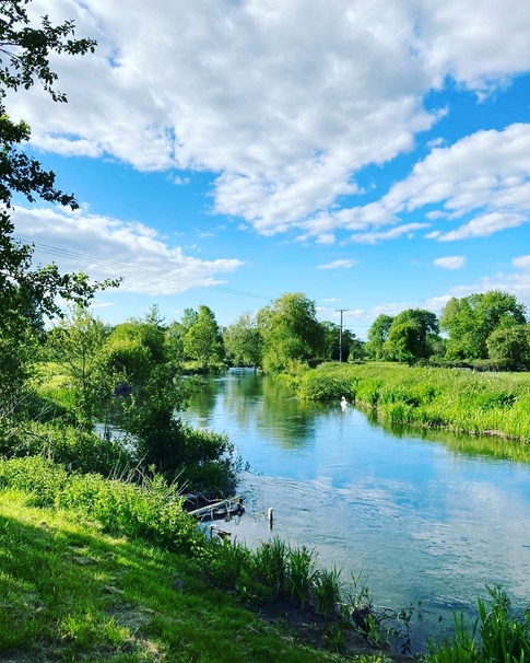 River Fishing On The Test @ Sadlers Mill Holiday Lets, Romsey - Hampshire