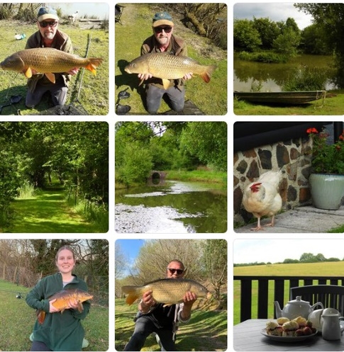 Coarse Fishing at Springfield Meadows Fishery Beaworthy - Devon Coarse Fishing at Springfield Meadows Fishery Beaworthy - Devon