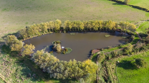 Seymour Fishery Highbridge - Somerset