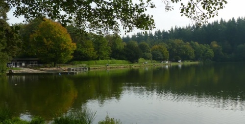 Shearwater Coarse Fishing Lake - Wiltshire Shearwater Coarse Fishing Lake - Wiltshire