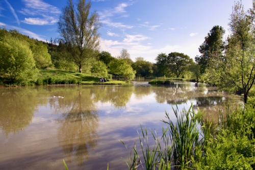 Carp & Coarse Fishing Lake South Farm, Cullompton - Devon