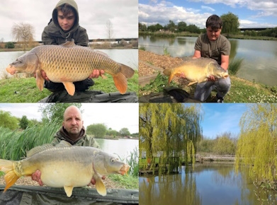 Coarse Fishing at Summerhayes Fisheries Bridgwater - Somerset