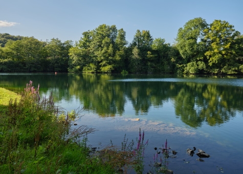 The Arundell  Fishing Lake Lifton Devon