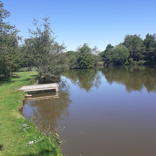 Coarse Fishing Lakes at Thornbury Park Holidays 
