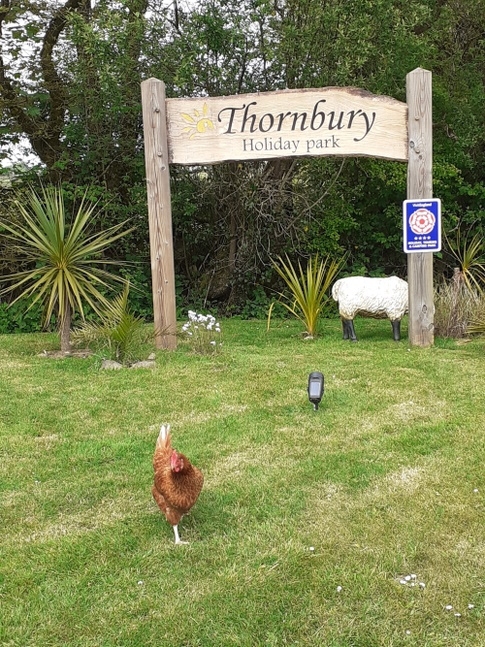 Thornbury Holiday Park, Holsworthy - Devon