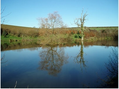 Trewandra Coarse Fishing Lake - Cornwall Trewandra Coarse Fishing Lake - Cornwall