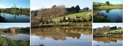 Trewandra Day Ticket Fishing - Cornwall Trewandra Day Ticket Fishing - Cornwall