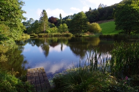 Amherst Lodge Trout Lake Fishery & River Fishing with Tuition Lyme Regis Dorset