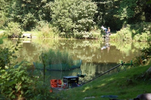 Weedy Pond - Devon Weedy Pond - Devon