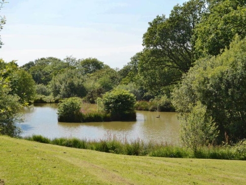 Week Farm Coarse Fishing Lake- Okehampton - Devon Week Farm Coarse Fishing Lake- Okehampton - Devon