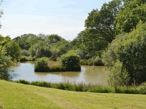 Week Farm Coarse Fishing Lake- Okehampton - Devon