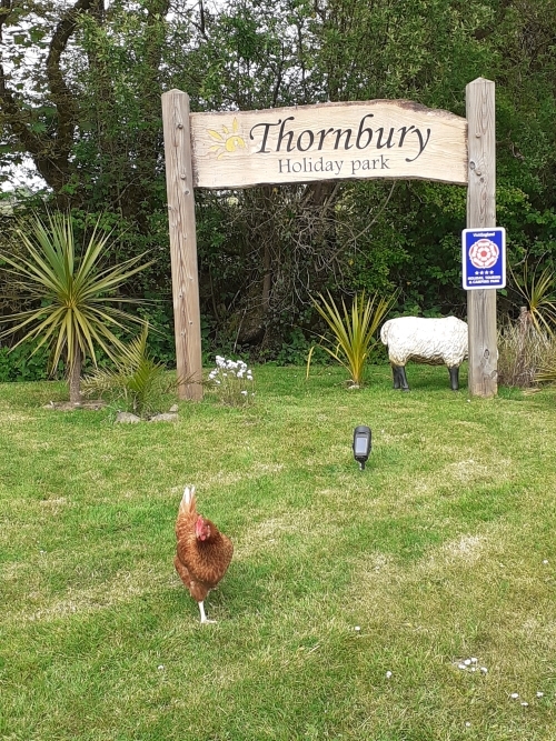 Welcome to Thornbury Holiday Park Devon Welcome to Thornbury Holiday Park Devon