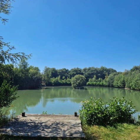 Winswell Coarse Fishing Lakes  Torrington - Devon