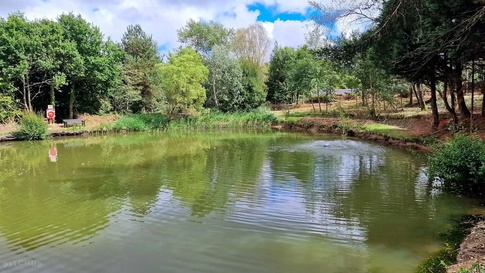 Coarse Fishing Lake @Woodleigh Caravan Park, Cheriton Bishop - Devon Coarse Fishing Lake @Woodleigh Caravan Park, Cheriton Bishop - Devon
