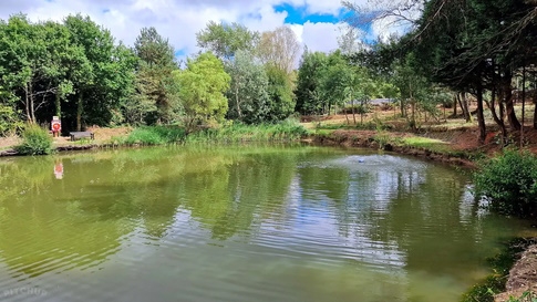 Coarse Fishing Lake @Woodleigh Caravan Park, Cheriton Bishop - Devon