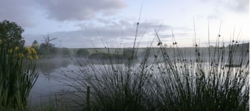 Yeomadon Coarse Fishing Lake Yeomadon Farm, Holsworthy Devon