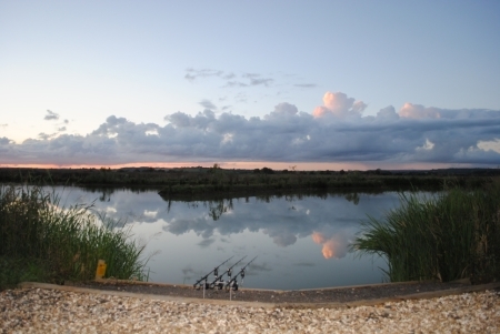Bearley Coarse Fishing Lake - Yeovil - Somerset Bearley Coarse Fishing Lake - Yeovil - Somerset