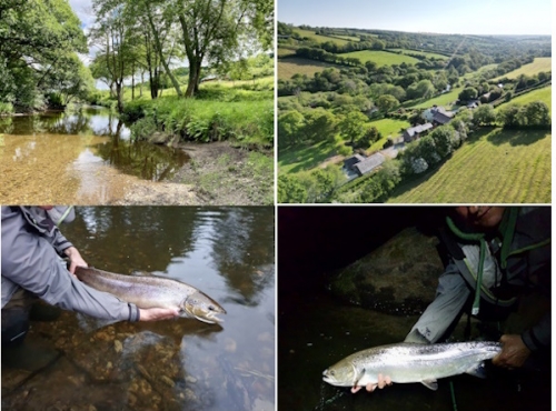 Butterwell Farm near Bodmin - Cornwall