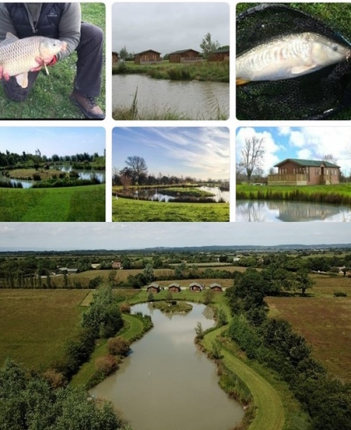 Coarse Fishing @New Orchard Farm Lodges, Weston - Super - Mare, Somerset