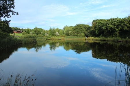 Coarse Fishing Lake at Wooda Lakes Pancrasweek, Holsworthy, Devon Coarse Fishing Lake at Wooda Lakes Pancrasweek, Holsworthy, Devon
