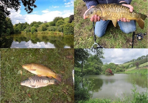 Coarse Fishing Breaks at Coombe Farm, Kingsbridge - Devon