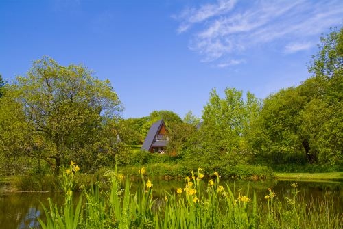 Coarse Fishing at Forda Lakes and Luxury Lodges and Cottages in Cornwall Coarse Fishing at Forda Lakes and Luxury Lodges and Cottages in Cornwall