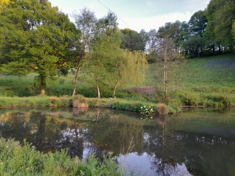 Fishing at New House Fishery - Totnes Devon