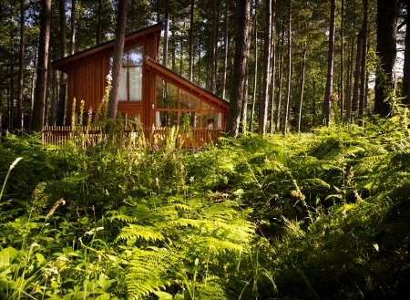 Sherwood Cabin - Forest Holidays Sherwood Cabin - Forest Holidays