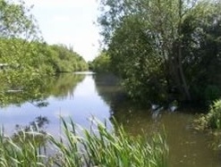 Tan House Farm Lake Yate, Somerset Tan House Farm Lake Yate, Somerset