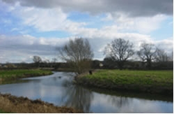 Fishing venues of Taunton Angling Ass Taunton, Somerset Fishing venues of Taunton Angling Ass Taunton, Somerset