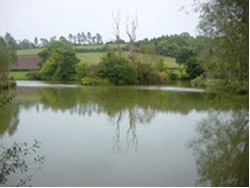 Fishing venues of Taunton Angling Ass Taunton, Somerset Fishing venues of Taunton Angling Ass Taunton, Somerset