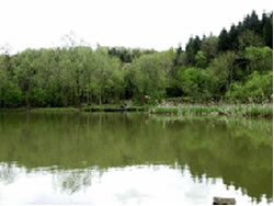 Fishing venues of Taunton Angling Ass Taunton, Somerset Fishing venues of Taunton Angling Ass Taunton, Somerset