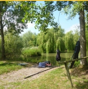 Emerald Pool Fishery in Somerset