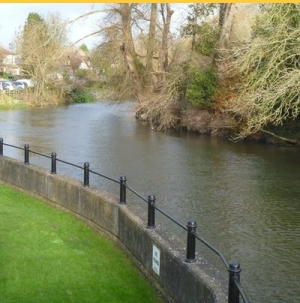 Fisheries Forum Fordingbridge 