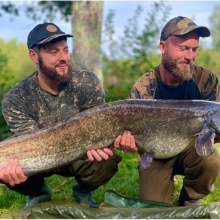 Cat Fish at Milemead Fishery Tavistock - Devon