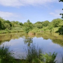 Coarse Fishing at Week farm - Okehampton - Devon