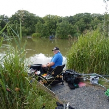 Coarse Angling Tarka Swims - Bideford & District Angling Club